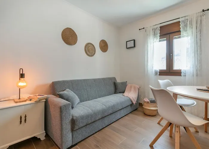 El Hogar De Ireneo A